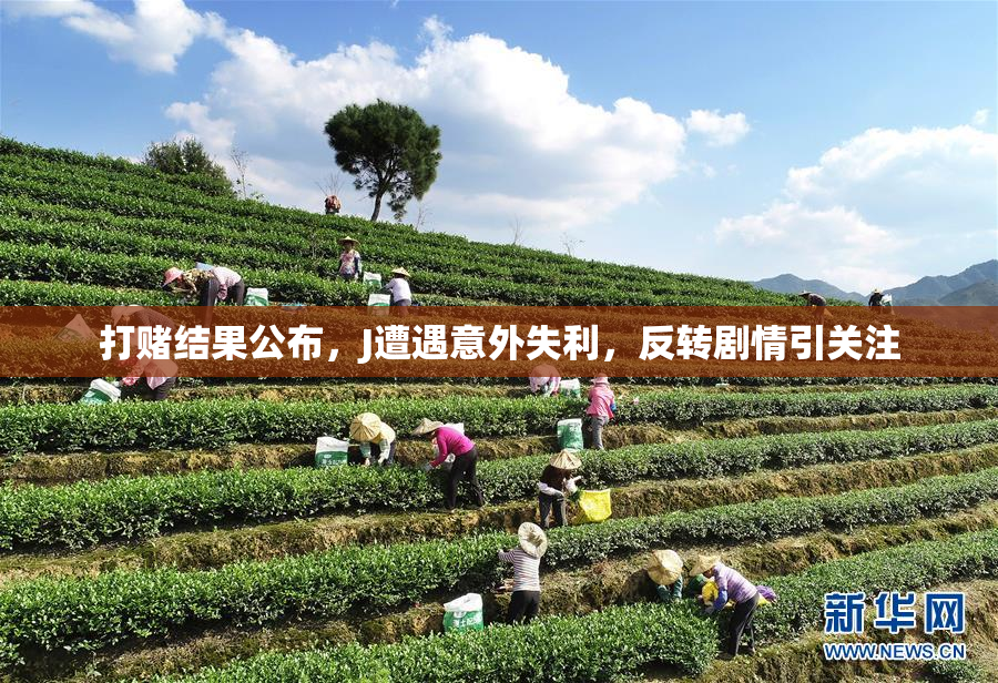 打赌结果公布，J遭遇意外失利，反转剧情引关注