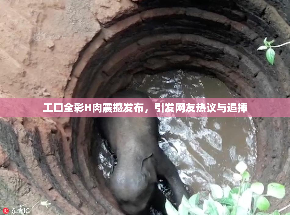 工口全彩H肉震撼发布，引发网友热议与追捧