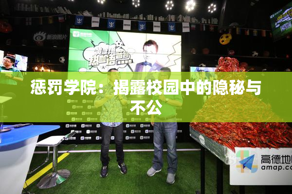 惩罚学院：揭露校园中的隐秘与不公