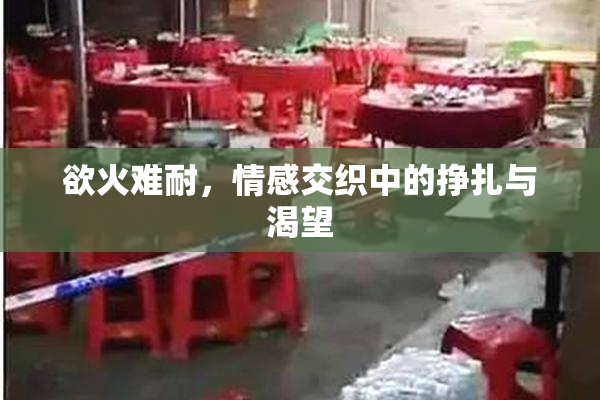 欲火难耐，情感交织中的挣扎与渴望