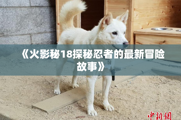 《火影秘18探秘忍者的最新冒险故事》