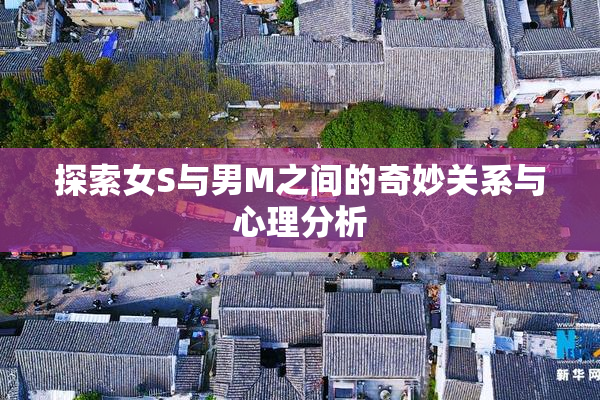 探索女S与男M之间的奇妙关系与心理分析