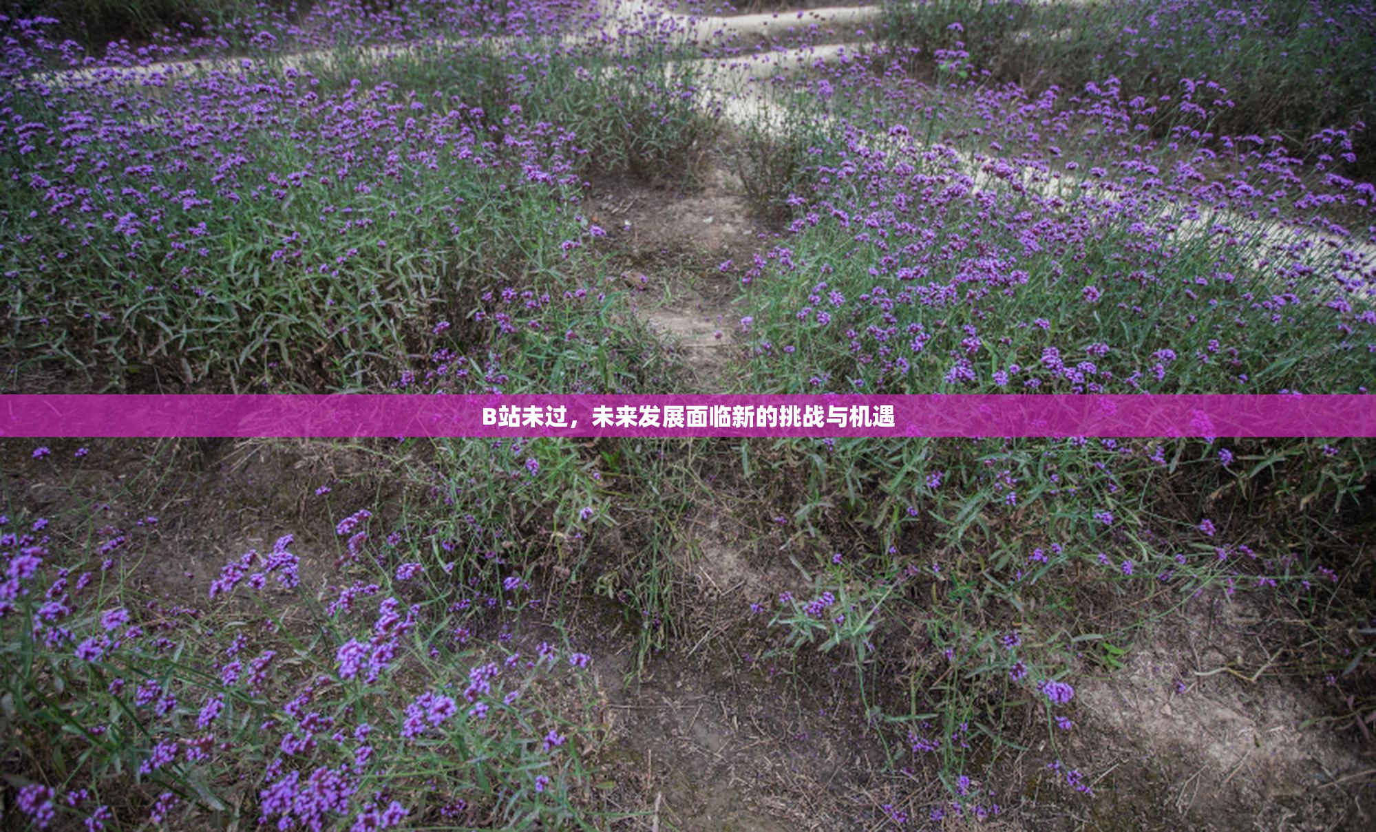 B站未过，未来发展面临新的挑战与机遇