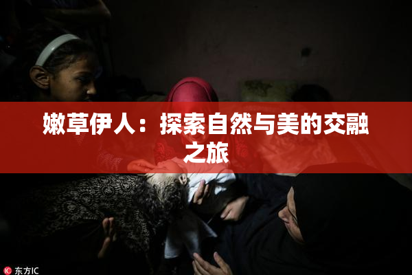 嫩草伊人：探索自然与美的交融之旅