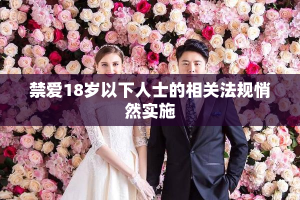 禁爱18岁以下人士的相关法规悄然实施
