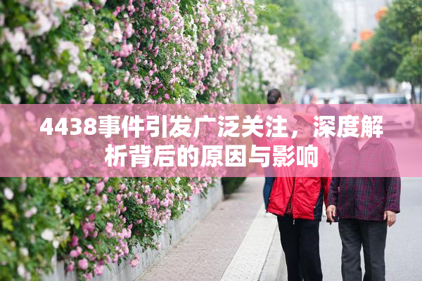4438事件引发广泛关注，深度解析背后的原因与影响