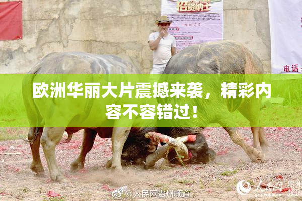 欧洲华丽大片震撼来袭，精彩内容不容错过！