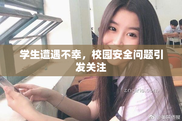 学生遭遇不幸，校园安全问题引发关注