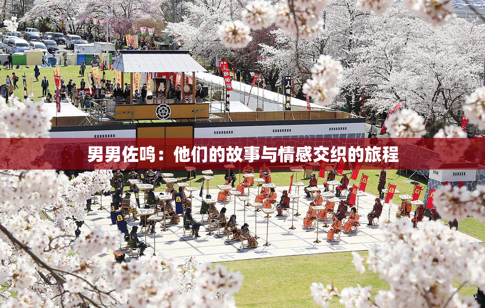 男男佐鸣：他们的故事与情感交织的旅程
