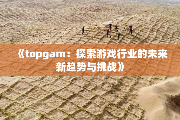 《topgam：探索游戏行业的未来新趋势与挑战》