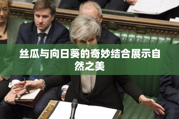 丝瓜与向日葵的奇妙结合展示自然之美