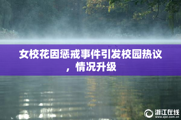 女校花因惩戒事件引发校园热议，情况升级