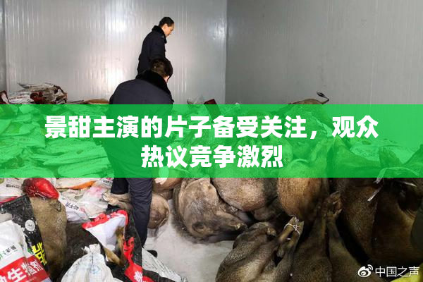 景甜主演的片子备受关注，观众热议竞争激烈