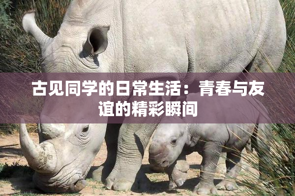 古见同学的日常生活：青春与友谊的精彩瞬间