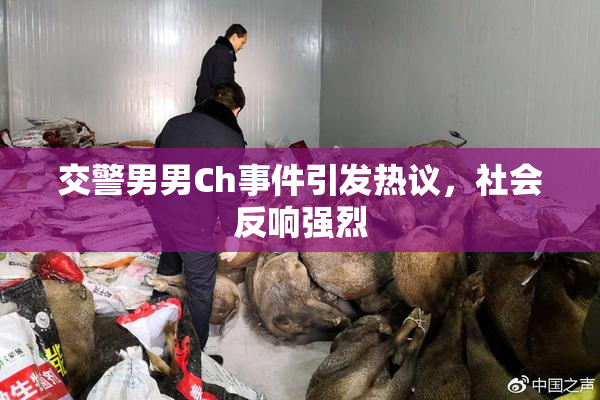交警男男Ch事件引发热议，社会反响强烈
