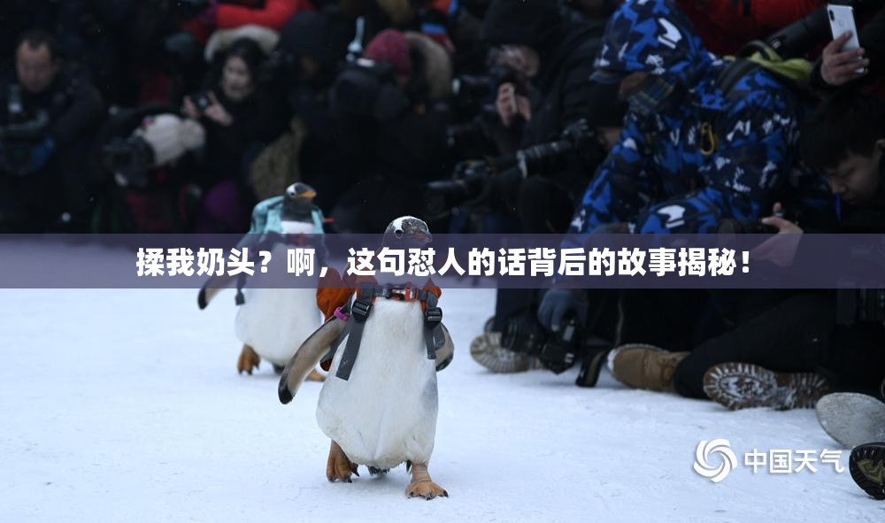 揉我奶头？啊，这句怼人的话背后的故事揭秘！