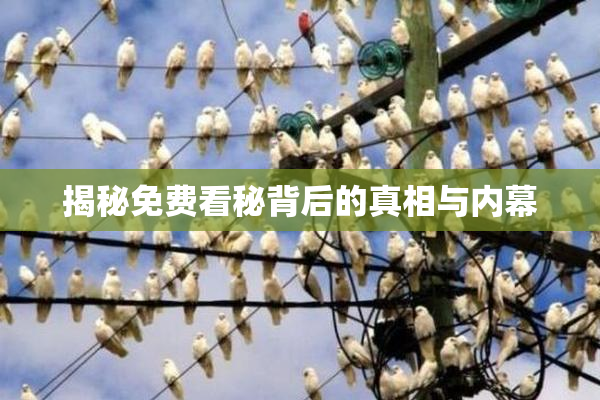 揭秘免费看秘背后的真相与内幕