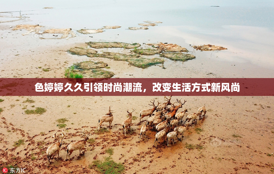 色婷婷久久引领时尚潮流，改变生活方式新风尚