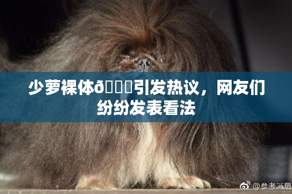 少萝裸体🔞引发热议，网友们纷纷发表看法
