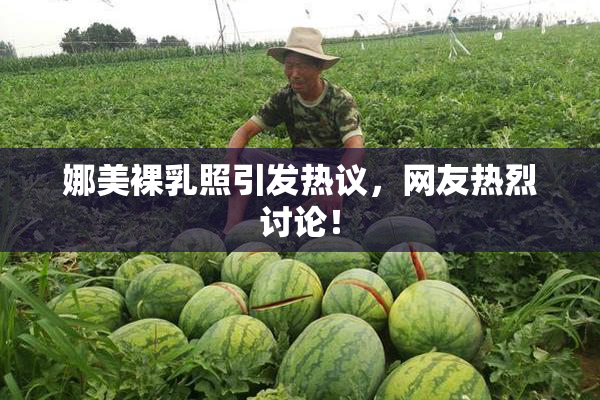 娜美裸乳照引发热议，网友热烈讨论！