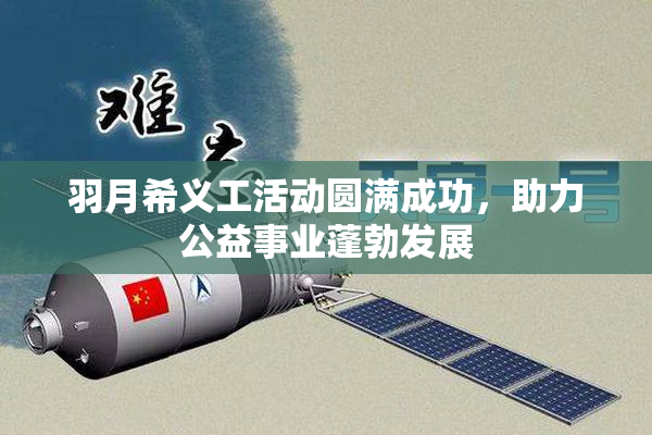 羽月希义工活动圆满成功，助力公益事业蓬勃发展