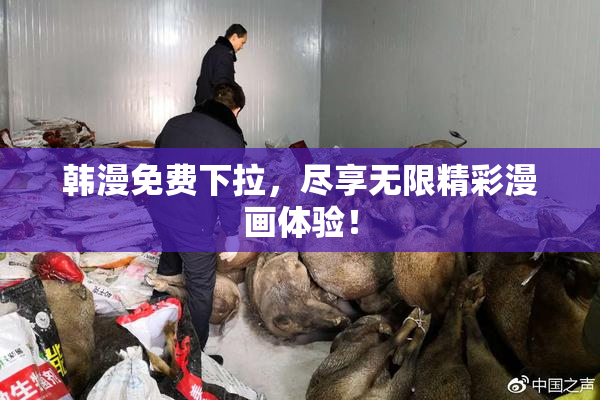 韩漫免费下拉，尽享无限精彩漫画体验！