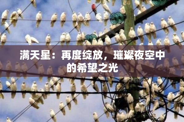 满天星：再度绽放，璀璨夜空中的希望之光