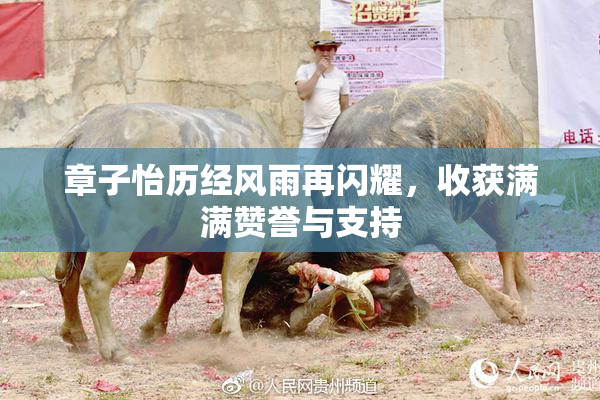 章子怡历经风雨再闪耀，收获满满赞誉与支持