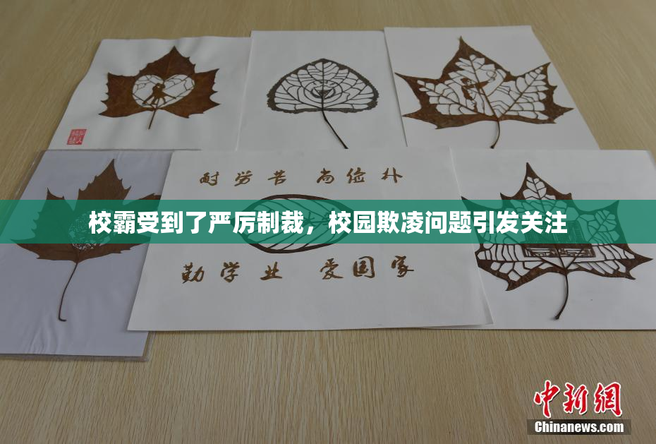 校霸受到了严厉制裁，校园欺凌问题引发关注