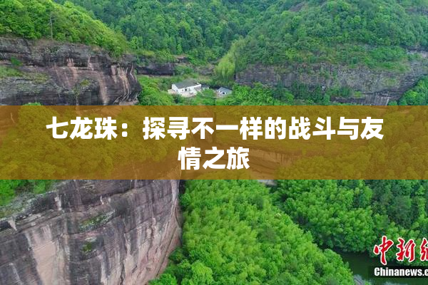 七龙珠：探寻不一样的战斗与友情之旅