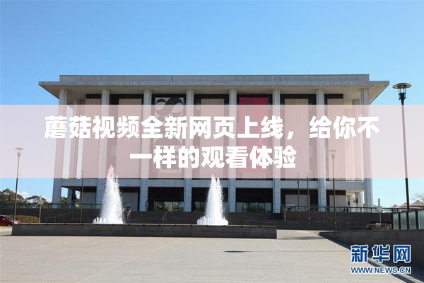 蘑菇视频全新网页上线，给你不一样的观看体验