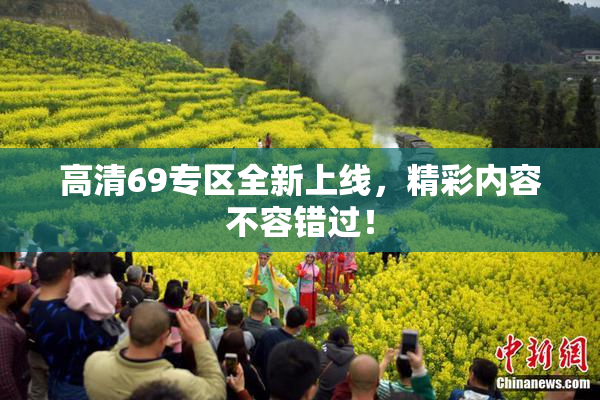 高清69专区全新上线，精彩内容不容错过！