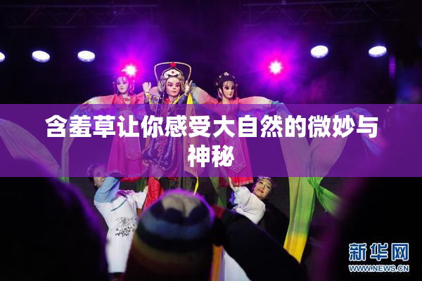 含羞草让你感受大自然的微妙与神秘