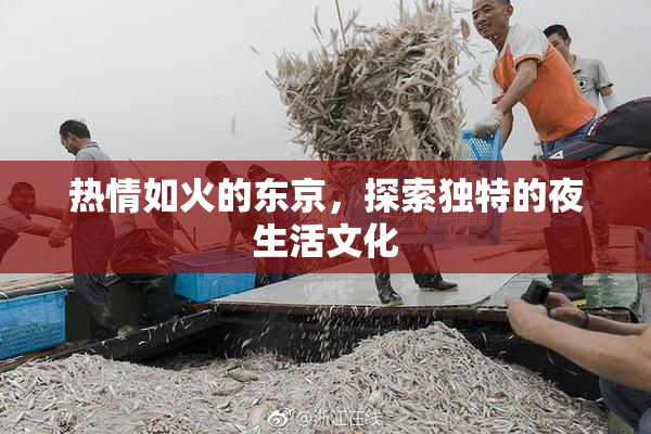 热情如火的东京，探索独特的夜生活文化