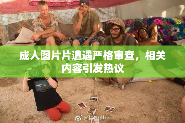成人图片片遭遇严格审查，相关内容引发热议