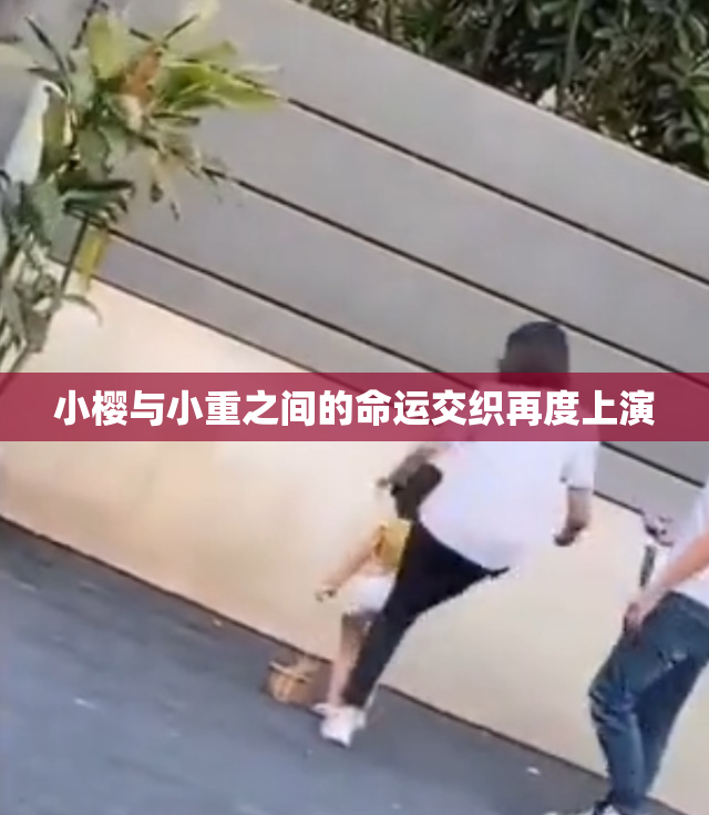 小樱与小重之间的命运交织再度上演