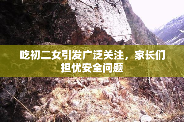 吃初二女引发广泛关注，家长们担忧安全问题