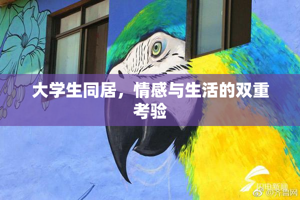 大学生同居，情感与生活的双重考验