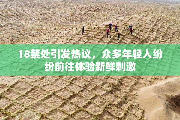 18禁处引发热议，众多年轻人纷纷前往体验新鲜刺激