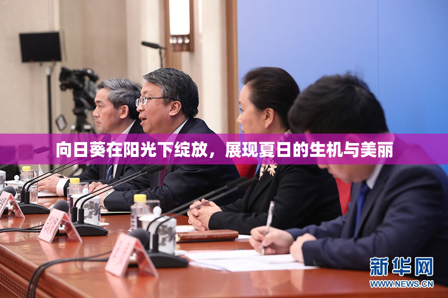 向日葵在阳光下绽放，展现夏日的生机与美丽