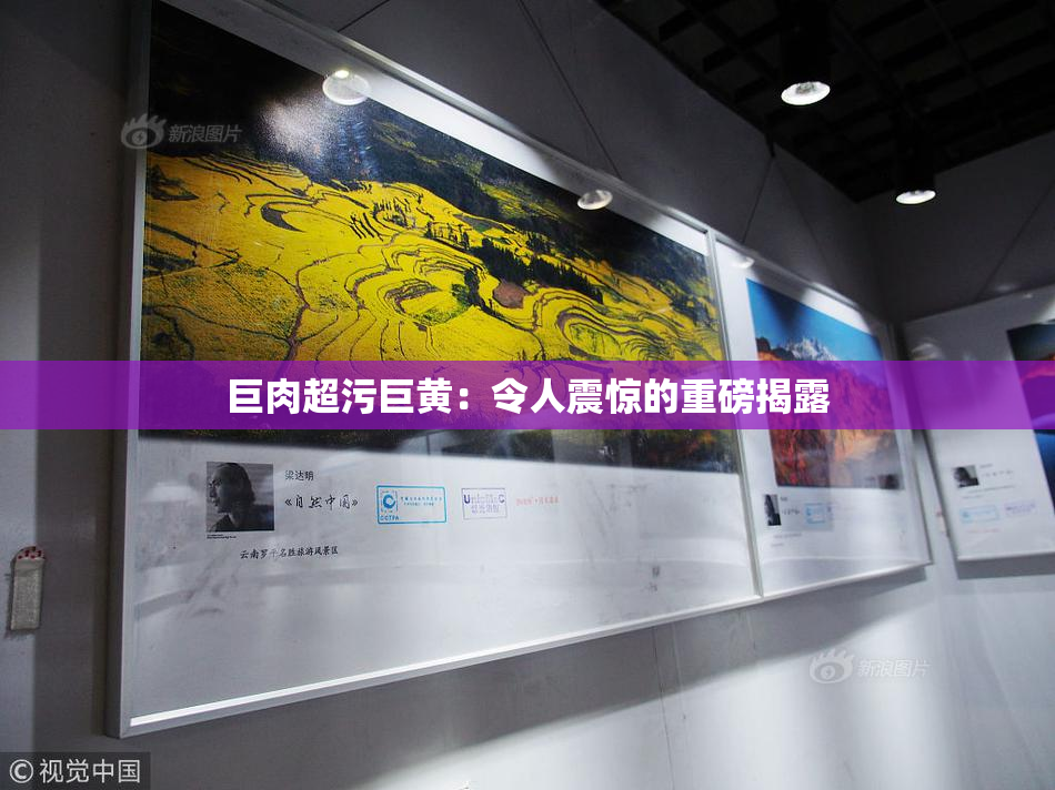巨肉超污巨黄：令人震惊的重磅揭露