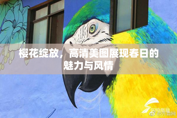 樱花绽放，高清美图展现春日的魅力与风情