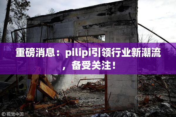 重磅消息：pilipi引领行业新潮流，备受关注！