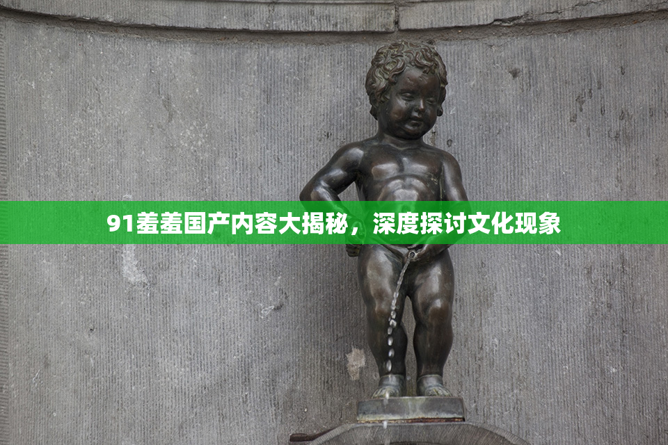 91羞羞国产内容大揭秘，深度探讨文化现象
