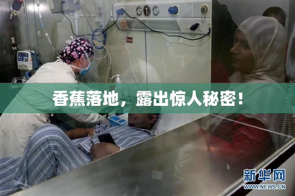香蕉落地，露出惊人秘密！