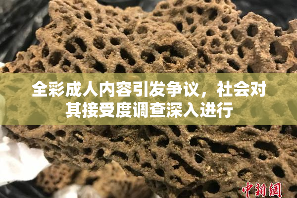 全彩成人内容引发争议，社会对其接受度调查深入进行