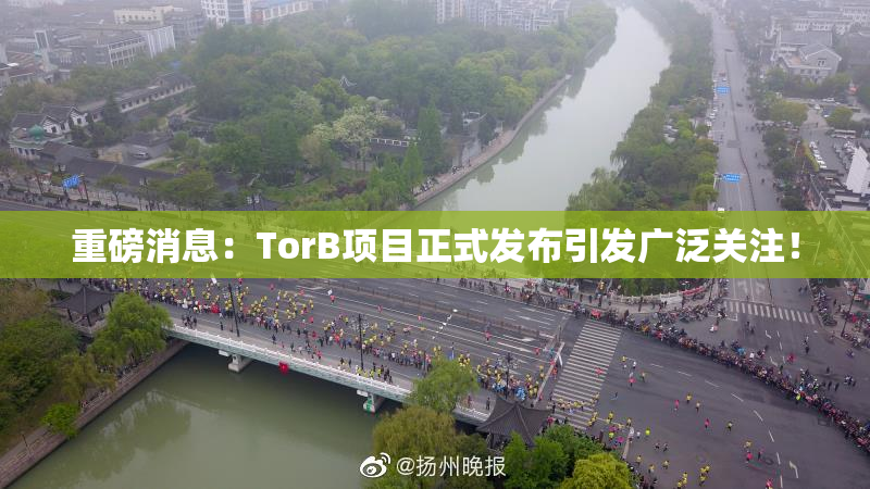 重磅消息：TorB项目正式发布引发广泛关注！