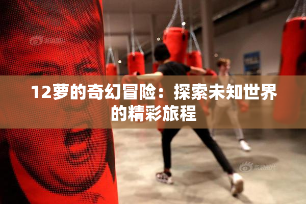 12萝的奇幻冒险：探索未知世界的精彩旅程