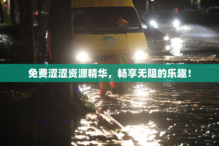 免费涩涩资源精华，畅享无阻的乐趣！