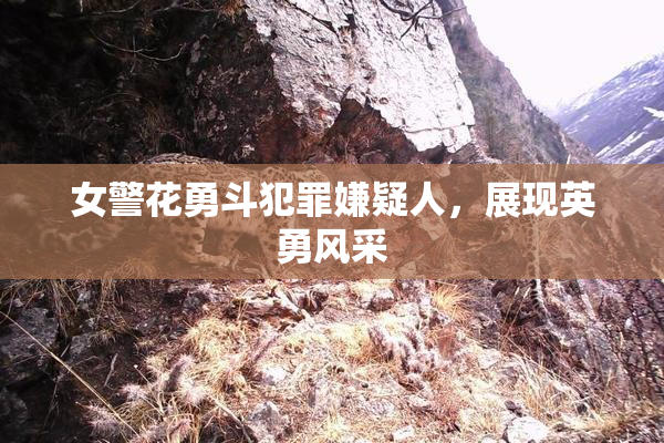 女警花勇斗犯罪嫌疑人，展现英勇风采